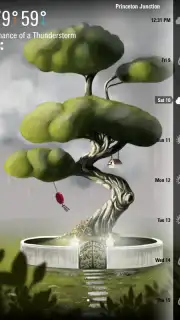 Weatherwise captura 2