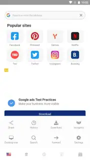 Proxy Browser captura 4