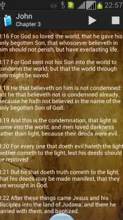 Holy Bible King James Version captura 6