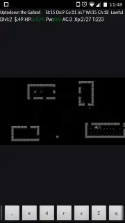 NetHack captura 1