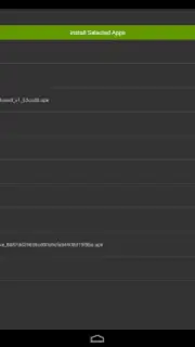 Installer captura 2