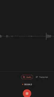 Google Recorder captura 4