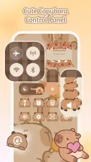 iControl captura 6