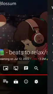 SmartTube captura 5