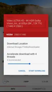 YVideo Downloader captura 3