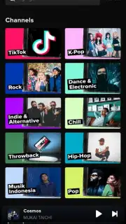 TikTok Music captura 3