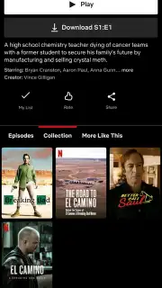 Netflix captura 17