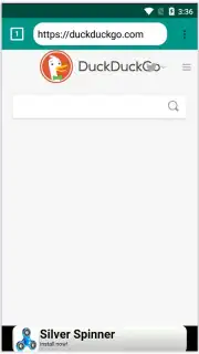 Google Search Alternatives captura 7