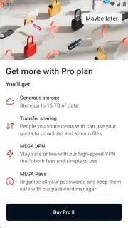 MEGA captura 9