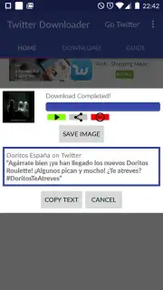 Video Downloader for Twitter captura 4