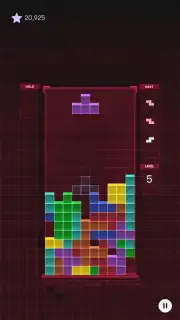 Tetris captura 11