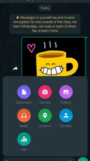 WhatsApp Messenger captura 28