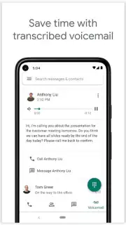 Google Voice captura 3