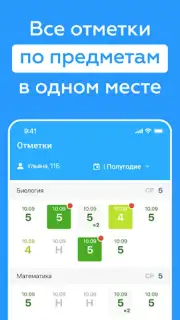 Дневник Новосибирской области captura 2