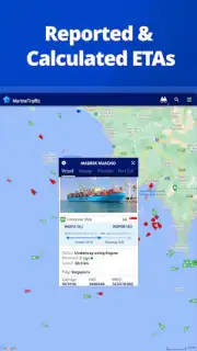 MarineTraffic captura 7