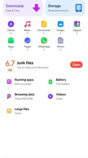 Phoenix Browser captura 9
