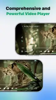 VidHub captura 6
