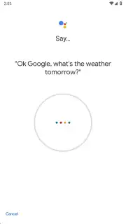 Google Assistant captura 16