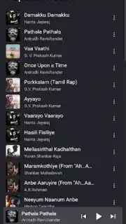 FLAC Music captura 2