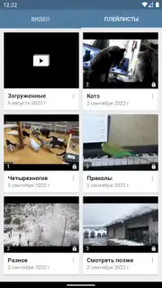 Video App for VK captura 3
