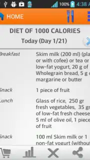 Diets for losing weight captura 4