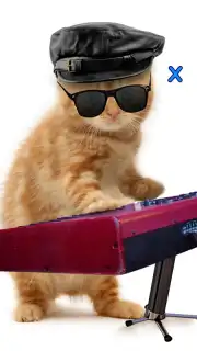 Talking, Dancing Cat. captura 7
