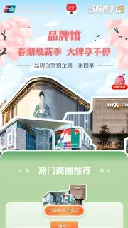 UnionPay captura 8
