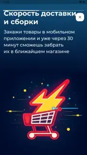 Бристоль captura 11