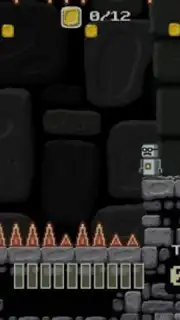 Bionfly captura 3