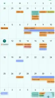 Google Calendar captura 3