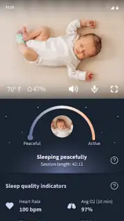 Owlet Dream captura 8