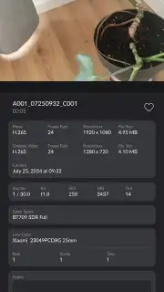 Blackmagic Camera captura 8