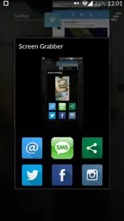 Screen Grabber captura 1