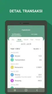 Money manager & expenses captura 2