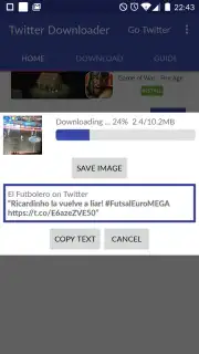 Video Downloader for Twitter captura 2
