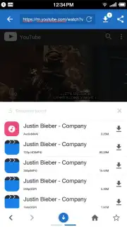 Swift - Music Downloader captura 10