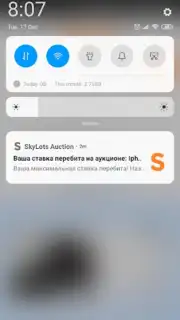 SkyLots: аукцион и маркетплейс captura 1