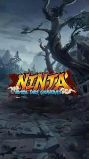 Ninja captura 1