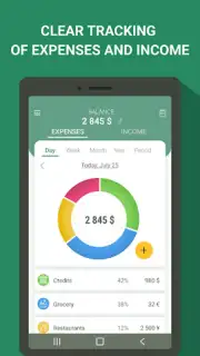 Money manager & expenses captura 4