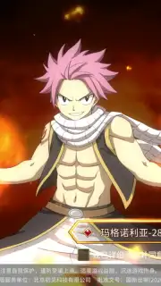 Fairy Tail: Endless Adventure captura 1