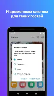 Росдомофон captura 8