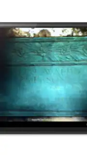 BillionGraves captura 13