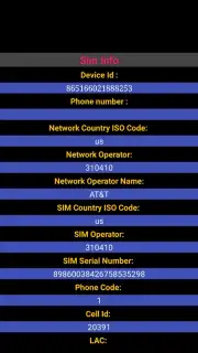 Sim Info captura 1