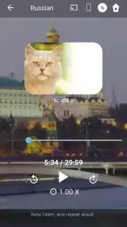 Bluebird Russian captura 5