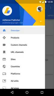 Google AdSense captura 2