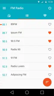 FM Radio captura 2