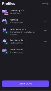 ProtonVPN captura 11