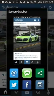 Screen Grabber captura 5