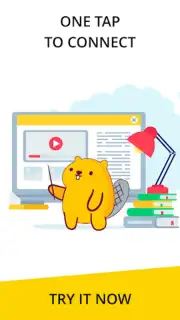 VPN service captura 3