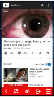 MiniTube captura 4
